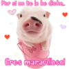 Por si no te lo he dicho....
Eres maravillosol