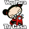 PUCCA 15