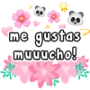 me gustas muuucho!