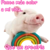 Pones más color
a mi vida...
Que un arcoíris