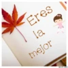Para mi princesa 9