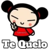 PUCCA 17