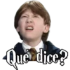 HARRY POTTER 2 17