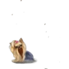 •