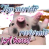 Tow morido
revivemo
A besos!