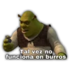Shrek 11
