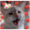 IG: Wholesome Waffles