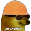 PERRITO CHULO 19