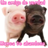 Un amigo de verdad
Nunca te abandona