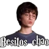 HARRY POTTER 2 18