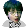 HARRY POTTER 2 19