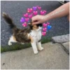You
My love and affection