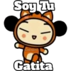 PUCCA 22