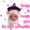 Tengo
la
magia
que
tu vida necesita