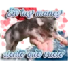 En ing manos
siento que vudo