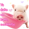 date
un
baño,
cochinito