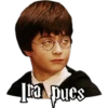 HARRY POTTER 2 21