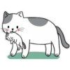 catlovE 15