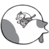 catlovE 18