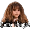HARRY POTTER 2 23