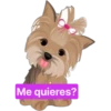 Me quieres?