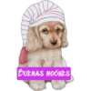 BUENAS NOCHES