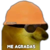 PERRITO CHULO 27
