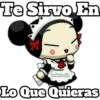 PUCCA 27