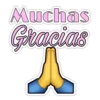 Muchas Gracias