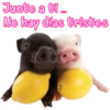 Junto a ti..
No hay días tristes
