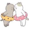 catlovE 25