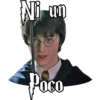 HARRY POTTER 2 25