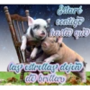 Estaré
contigo
hasta que
las estrellas dejen
do brillar