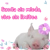 Sueña sin miedo,
vive sin límites