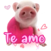 iB
Te amo
exfo