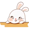 Sweet Bunny 5