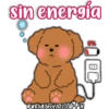 Caniche Dog🐕🇵🇪 7
