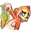 Funny Monkey 5