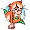 Funny Monkey 6