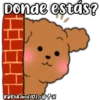 Caniche Dog🐕🇵🇪 10
