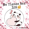 PanditaCute Frases 13