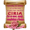 Diploma a mamá 2 11