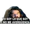 Harry Potter 2 13