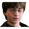 Harry Potter 2 14
