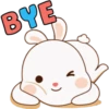BYE
