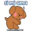 Caniche Dog🐕🇵🇪 15
