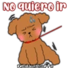 Caniche Dog🐕🇵🇪 18