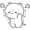 Lovely Fluffy Cat 1 7