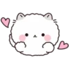 Lovely Fluffy Cat 1 8