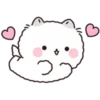 Lovely Fluffy Cat 1 9